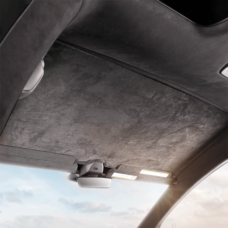 Zonnescherm — Tesla Model X