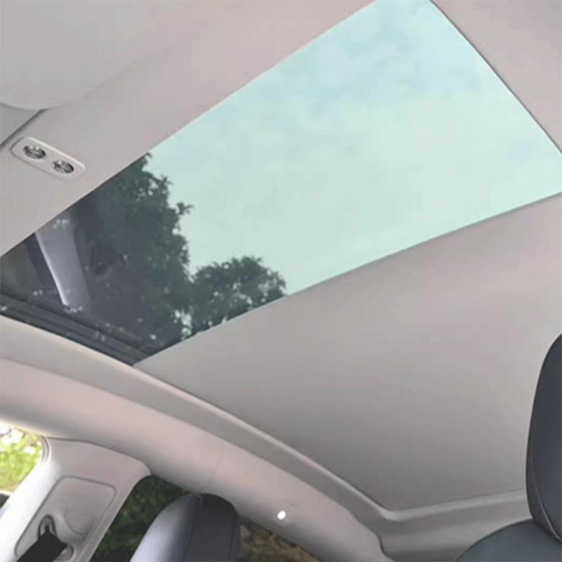 Zonnescherm — Tesla Model Y