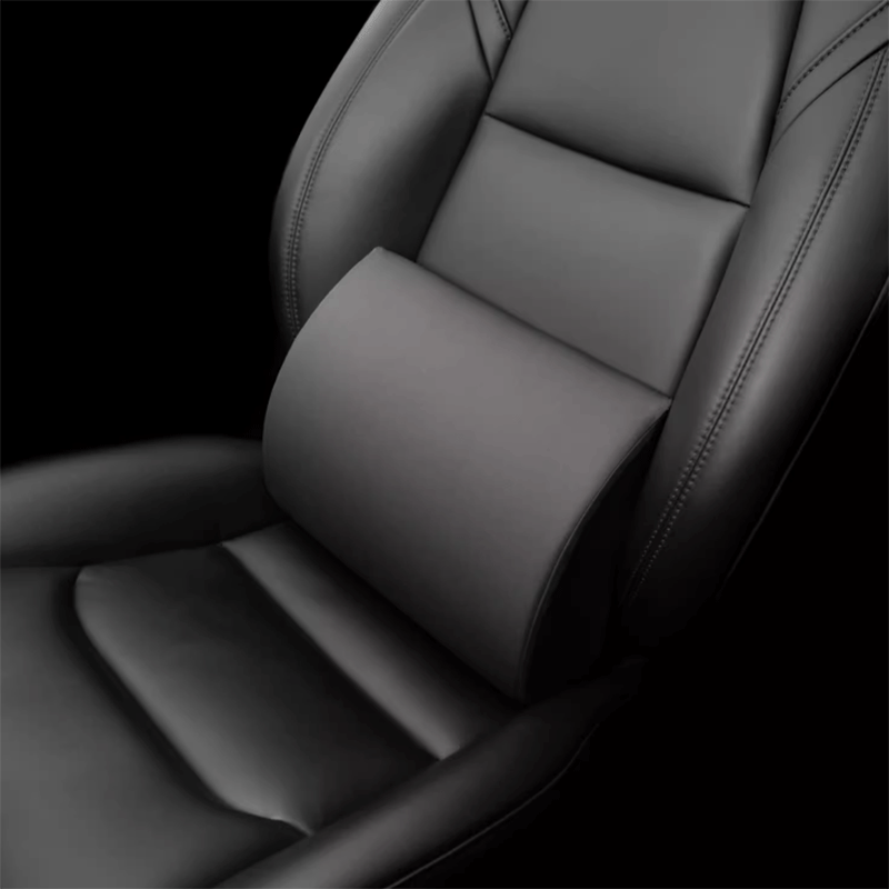 Lendenkussen — Tesla Model S