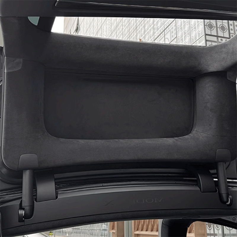 Zonnescherm — Tesla Model X