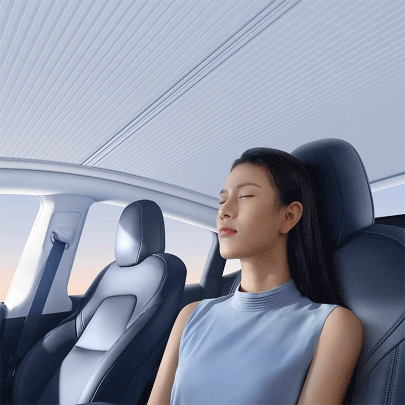 Dakzonnescherm — Tesla Model Y Juniper & Model Y